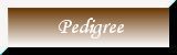 View Pedigree